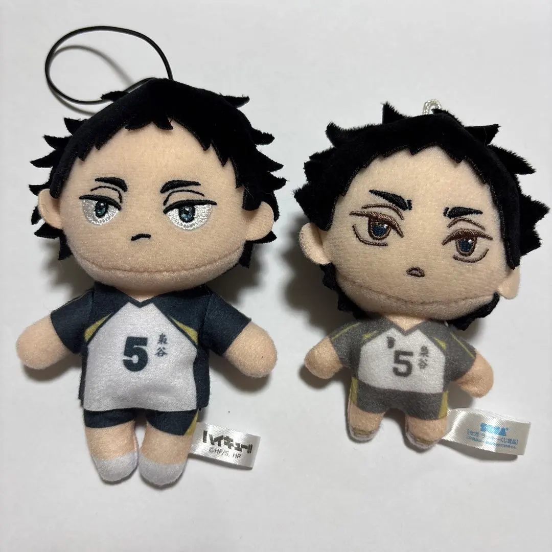 Thumbnail of Haikyu!! Keiji Akaashi Plush Set of 2