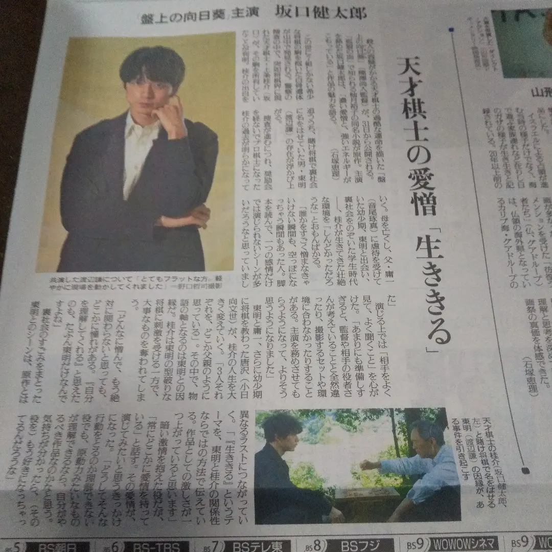 Thumbnail of Kentaro Sakaguchi: Sunflower on the Board - Yomiuri Shimbun