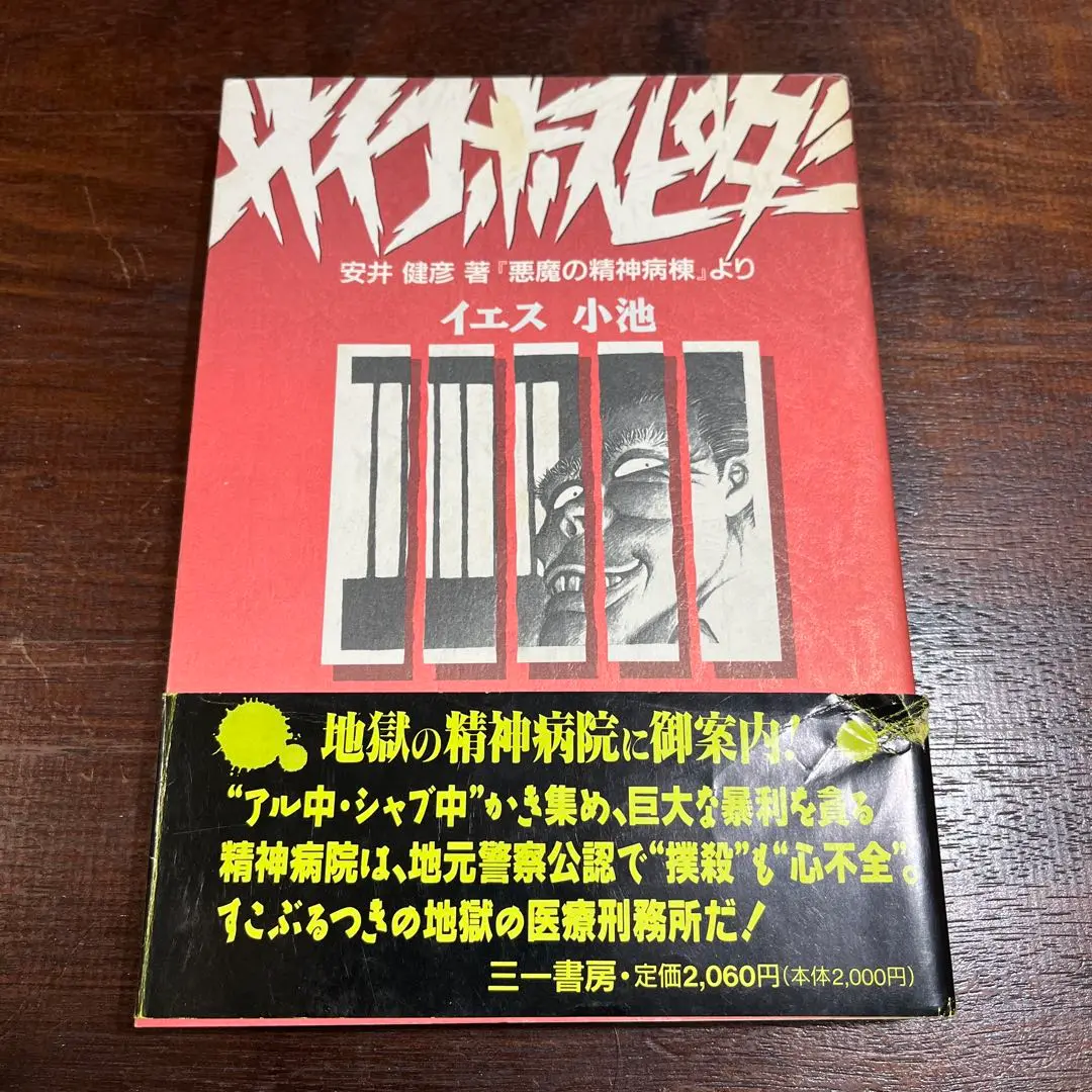 悪魔の精神病棟 報徳会宇都宮病院 三一書房 安井健彦 （悪魔の