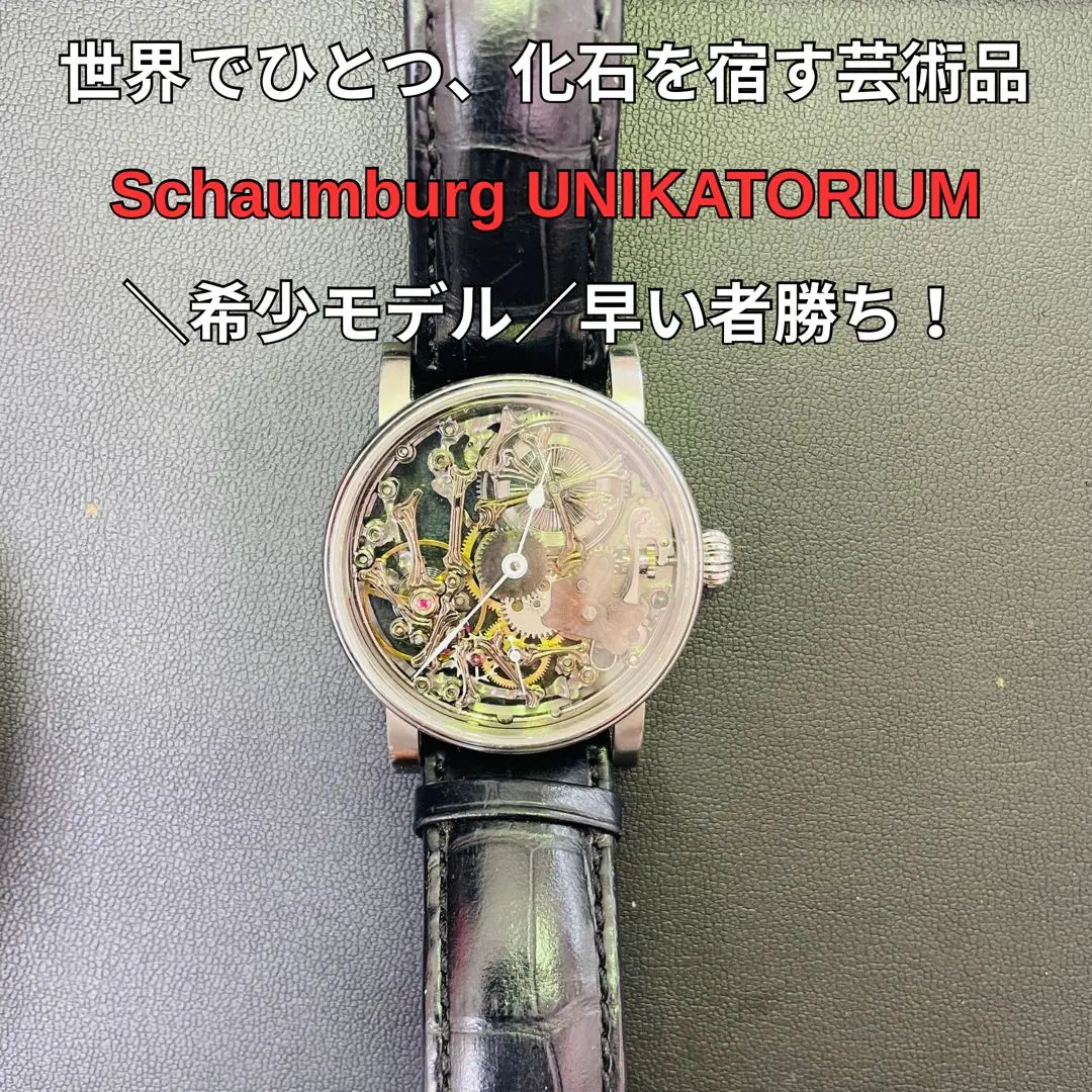 2025年最新】SCHAUMBURG WATCH 時計の人気アイテム - メルカリ