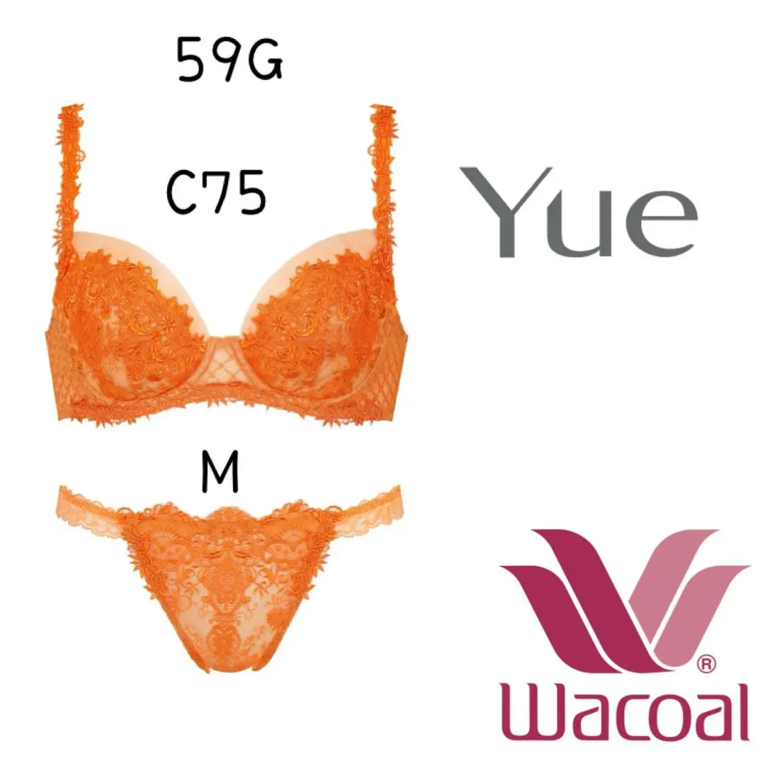 ❤ワコールYue❤60G アウターにひびきにくい ブラC75・ショーツM Yue L字ワイヤーを使用アウターにひびきにくいモールドブラ 3