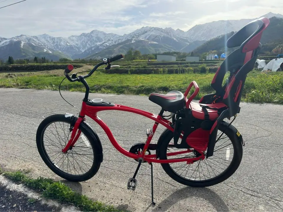 2025年最新】SCHWINN ビーチクルーザーの人気アイテム - メルカリ