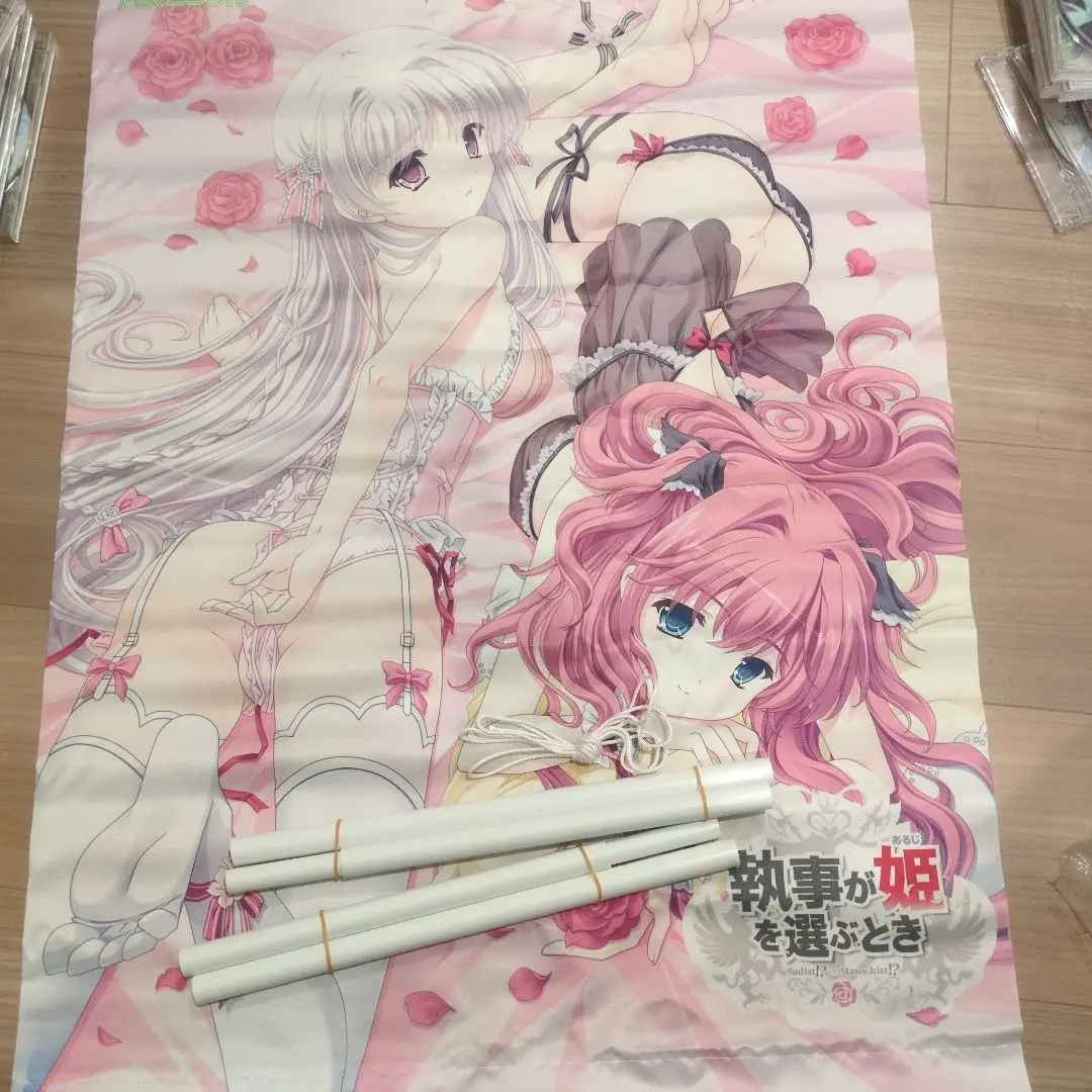 PeasSoft 美少女　色紙　フォルダ　まとめ売り　サイン　非売品　きくらげ PeasSoft 美少女色紙フォルダまとめ売りサイン非売品きくらげ