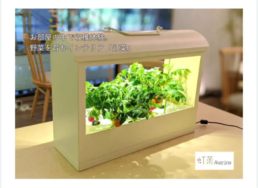 『灯菜(Akarina)』 Akarina05 OMA05 | 灯菜 LED水耕栽培器 | おしゃれなインテリア