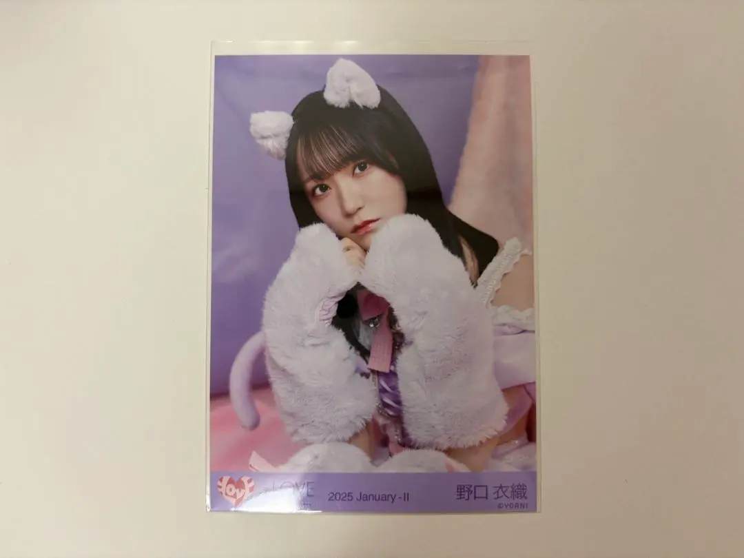 Thumbnail of Ikorabu ( =LOVE) Iori Noguchi Cat Costume 7th Anniversary Photo