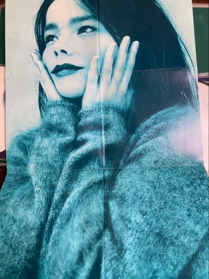 ビョーク bjork björk ホモジェニック 販促 B2 ポスター 非売品 91GVIaDyd-L._UF350,350_QL50_.jpg