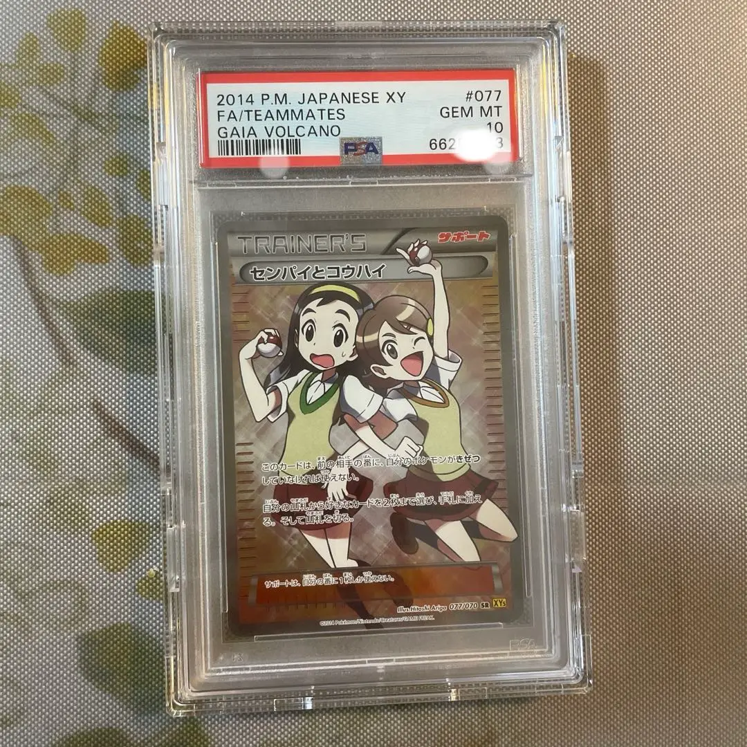 2025年最新】psa10 せんぱいとこうはいの人気アイテム - メルカリ