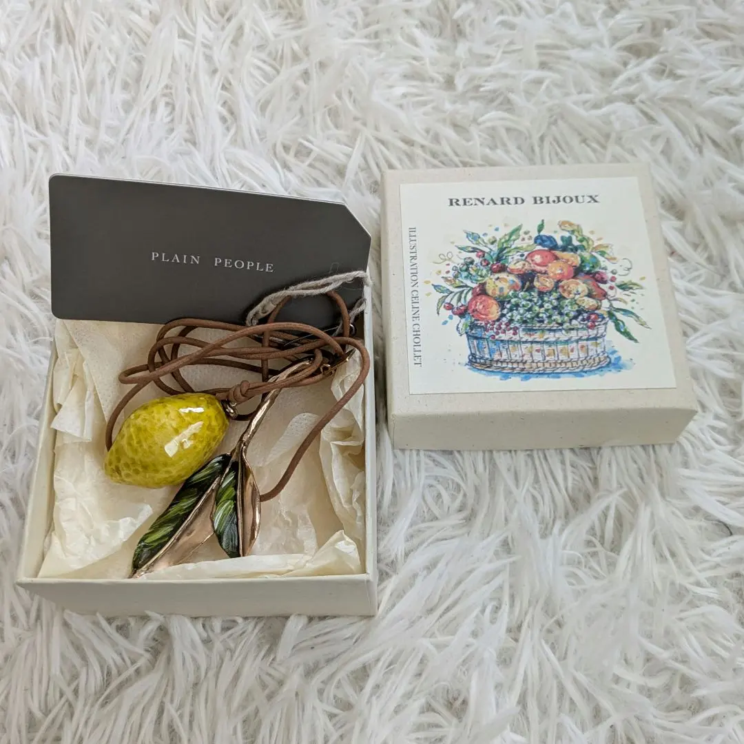 RENARD BIJOUX てんとう虫　ネックレス RENARD BIJOUX (レナードビジュー) ルナリアのネックレス