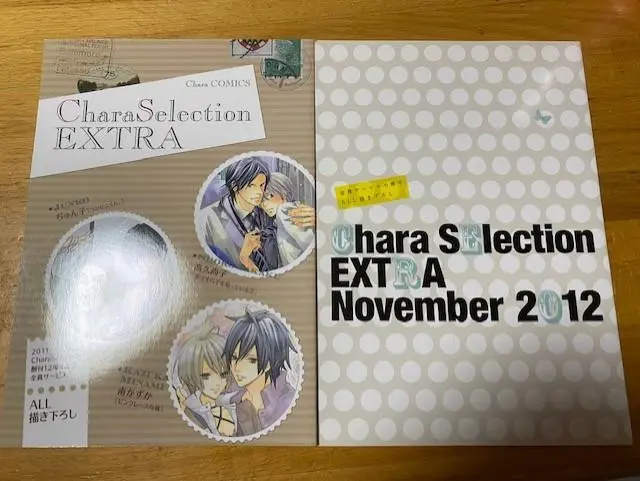 2025年最新】Chara Selection EXTRAの人気アイテム - メルカリ