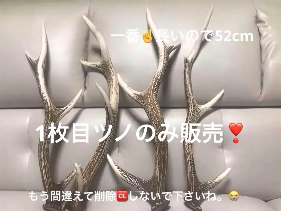 2025年最新】カモシカ角の人気アイテム - メルカリ