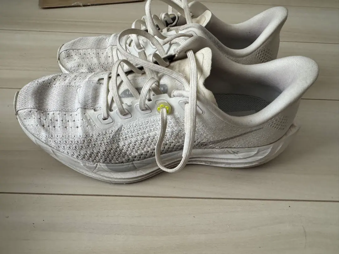 Thumbnail of Nike Pegasus Plus 26.0cm