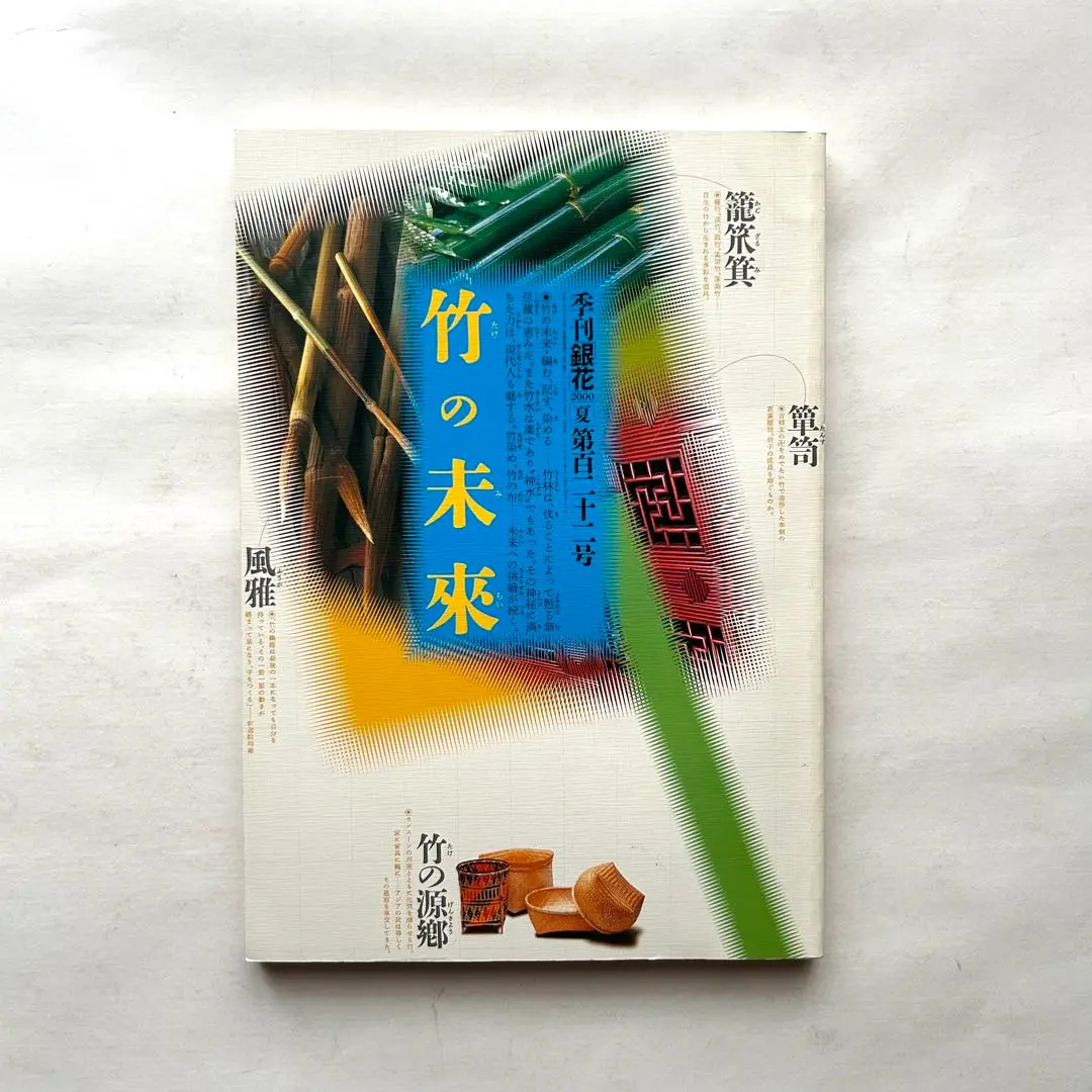 幻の巨匠,森鴎外の小説,中村彜の弟子,宮芳平,こんなお宝どこの
