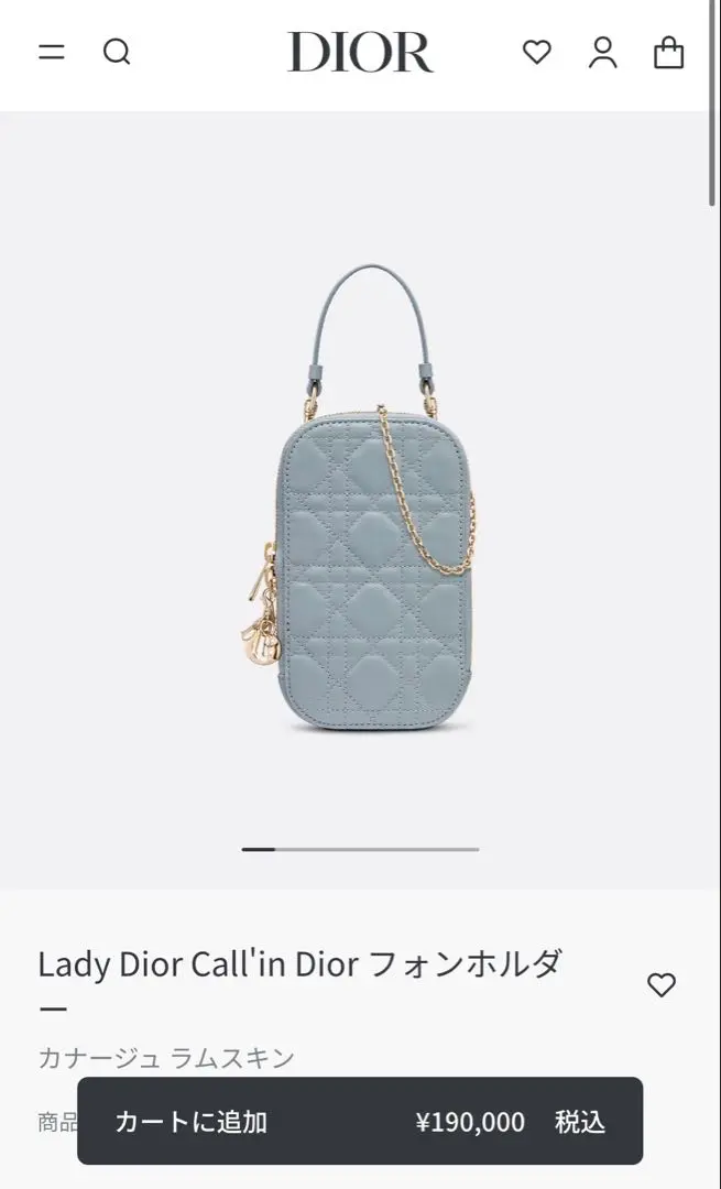 【セール】DIOR フォンホルダー　水色 Dior フォンホルダースマホショルダー