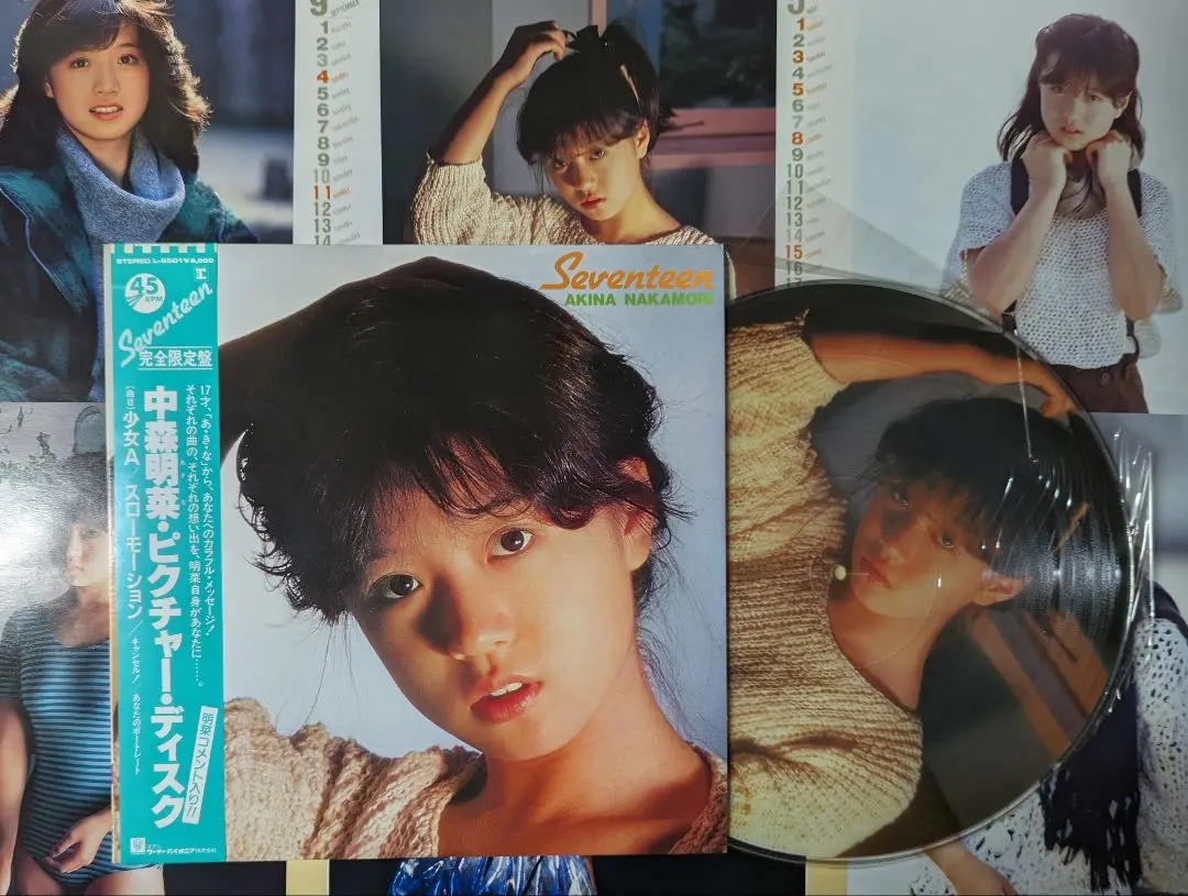 2025年最新】中森明菜 ピクチャー ディスクの人気アイテム