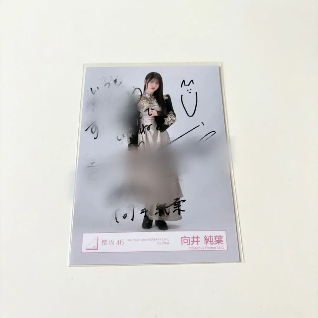 向井純葉 直筆サイン入り クリスマスサンタ衣装 2024 生写真 座り 櫻坂46 向井純葉 2023年 クリスマスサンタ衣装 生写真 コンプ1