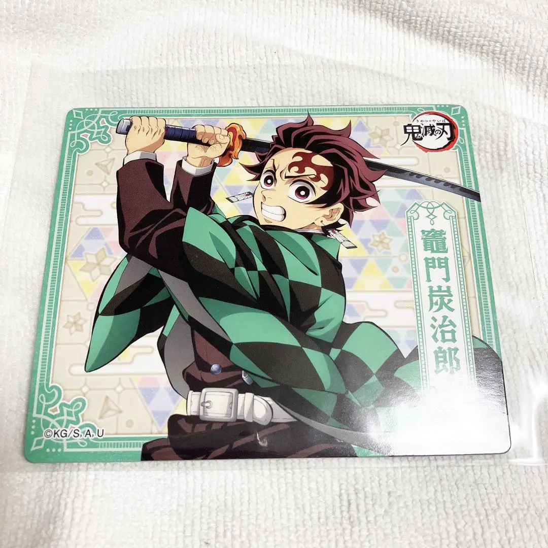 Thumbnail of Demon Slayer Magnet Collection 4: Tanjiro Kamado