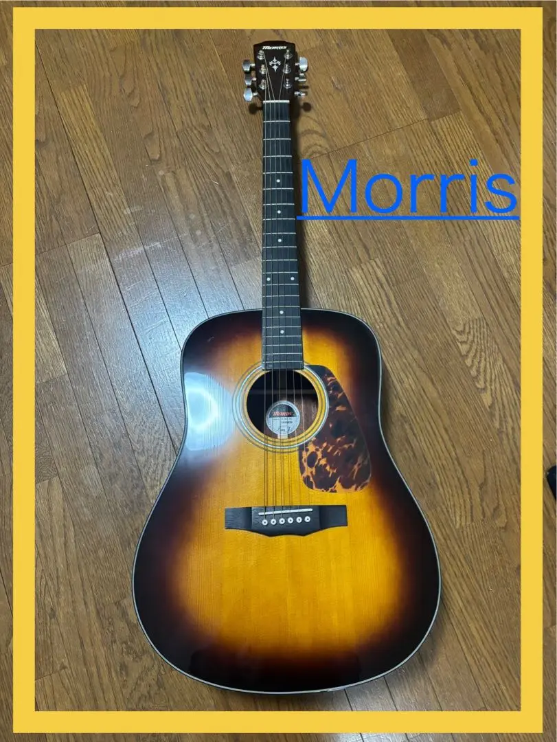 Morris M-351 CS モーリス アコースティックギター M-351 | 生産完了品 | MORRIS GUITARS モーリスギター