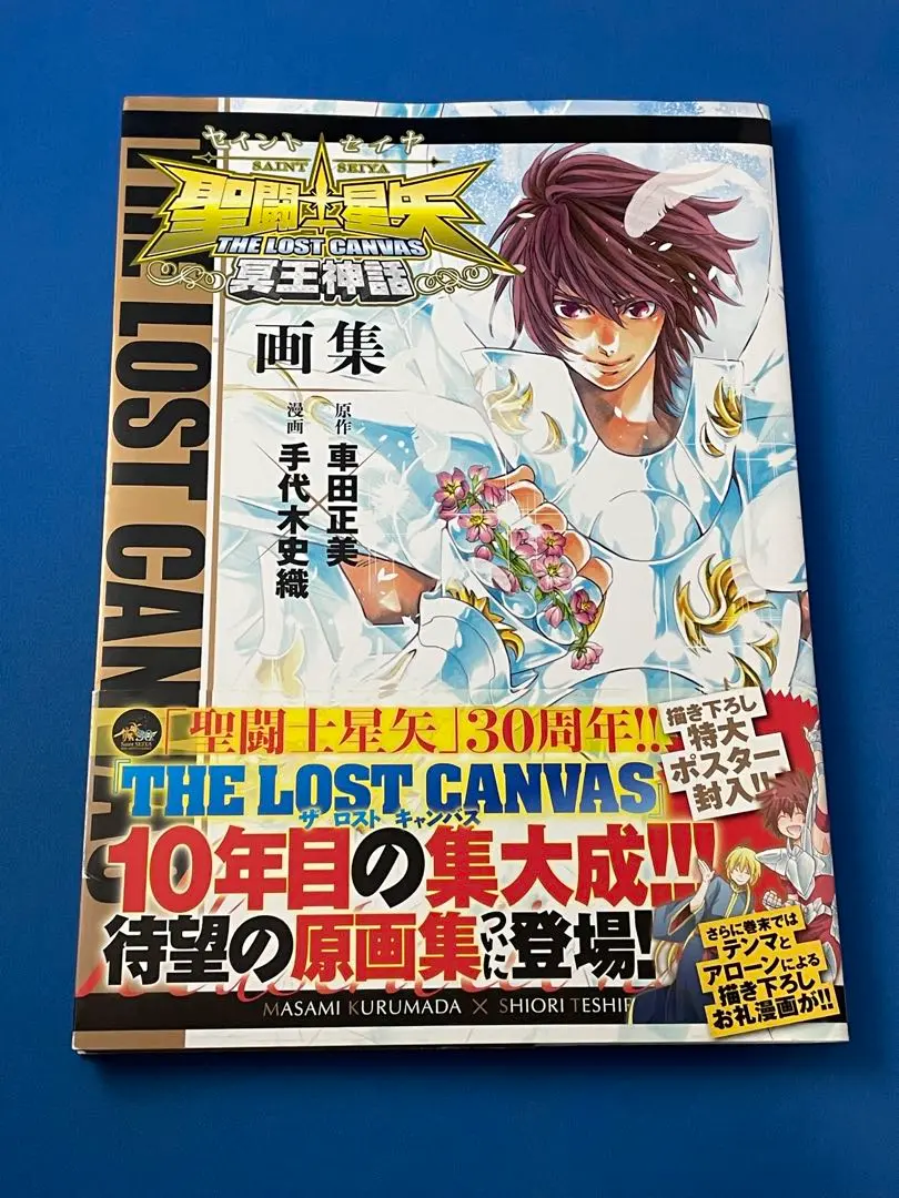 2025年最新】聖闘士星矢 the lost canvas冥王神話画集の人気