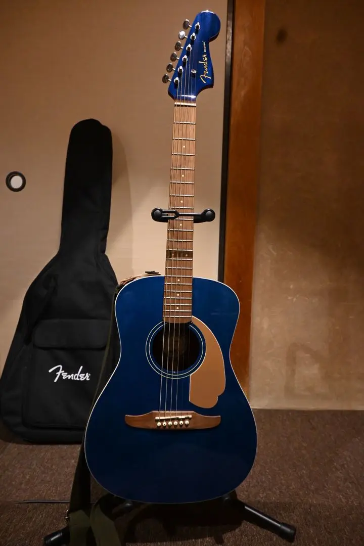 2025年最新】fender malibu playerの人気アイテム - メルカリ
