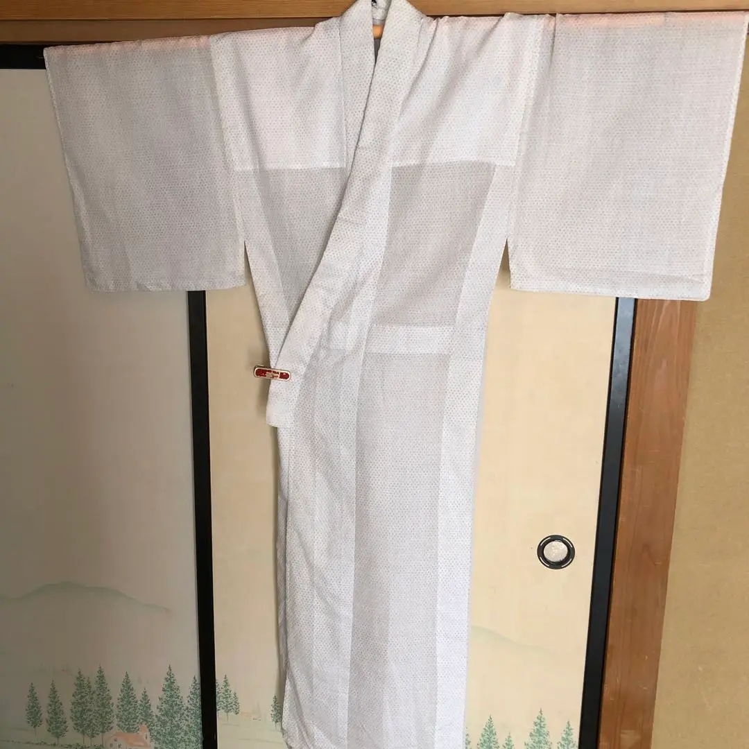 【琵琶上布】麻　綿　白絣　白　着物　浴衣　反物 　　#4706 プルーン様専用♡【琵琶上布】麻 綿 白絣 白 反物 #4706 - メルカリ