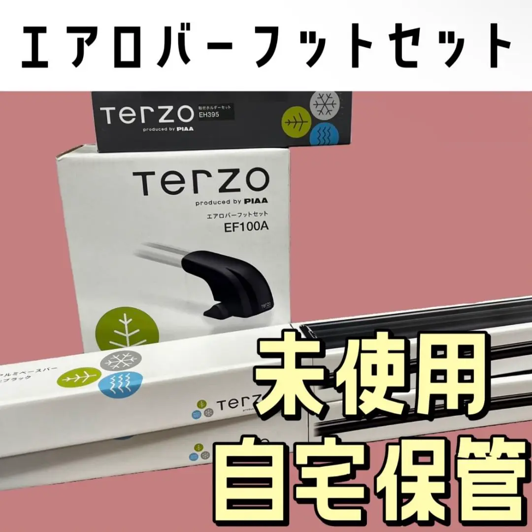 2025年最新】ef100a terzoの人気アイテム - メルカリ