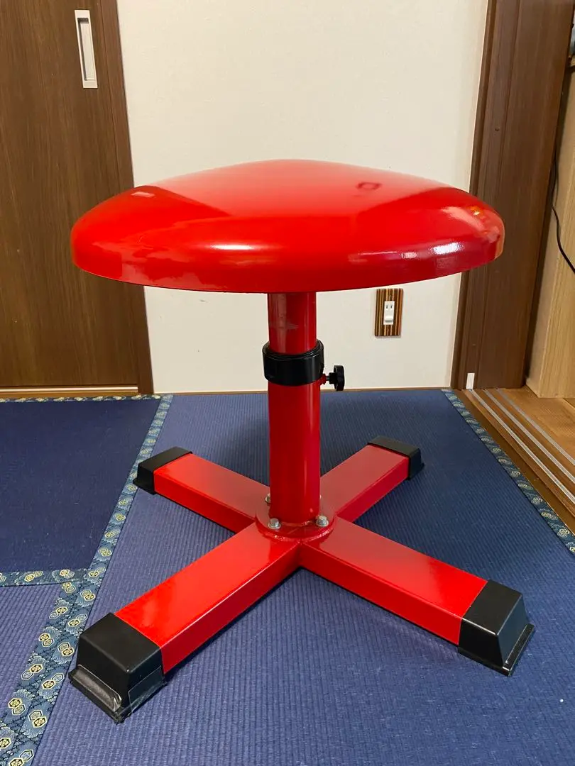 ハンドメイド　器械体操　円馬 2025年最新】円馬 体操の人気アイテム - メルカリ
