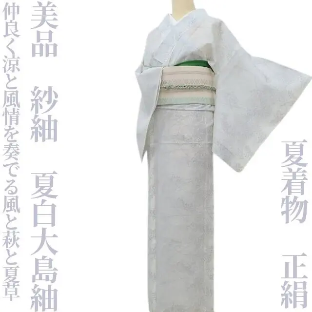Amazon.co.jp: 924 二十代 雲林院宝山作 白泥豪相 凉炉 : ホーム