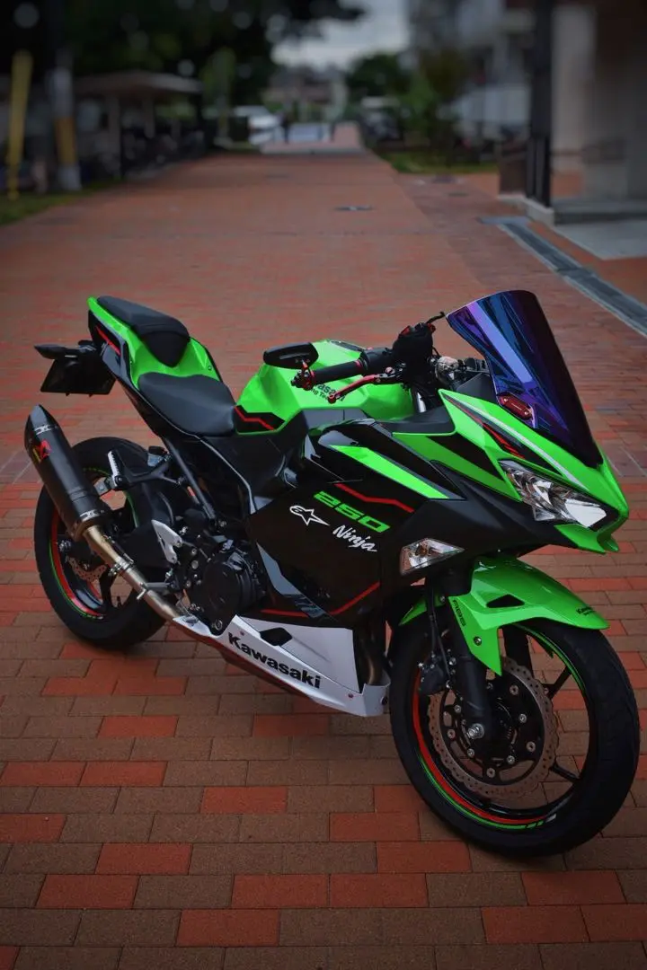 2025年最新】アクラポビッチ マフラー ninja250の人気アイテム