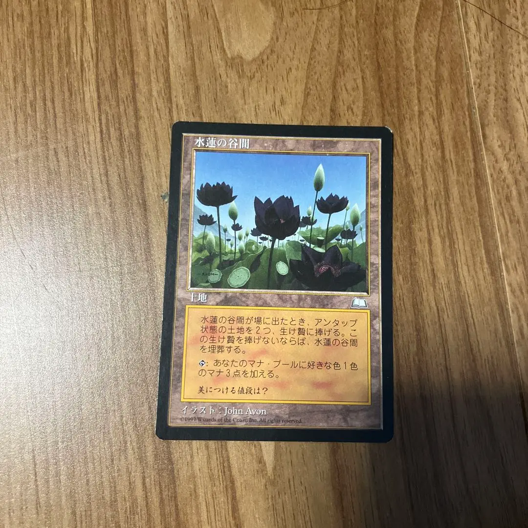MTG 水蓮の谷間 Lotus Val WTH 英語版 3枚分 水蓮の谷間/Lotus Vale》[WTH] 土地R | 日本最大級 MTG通販
