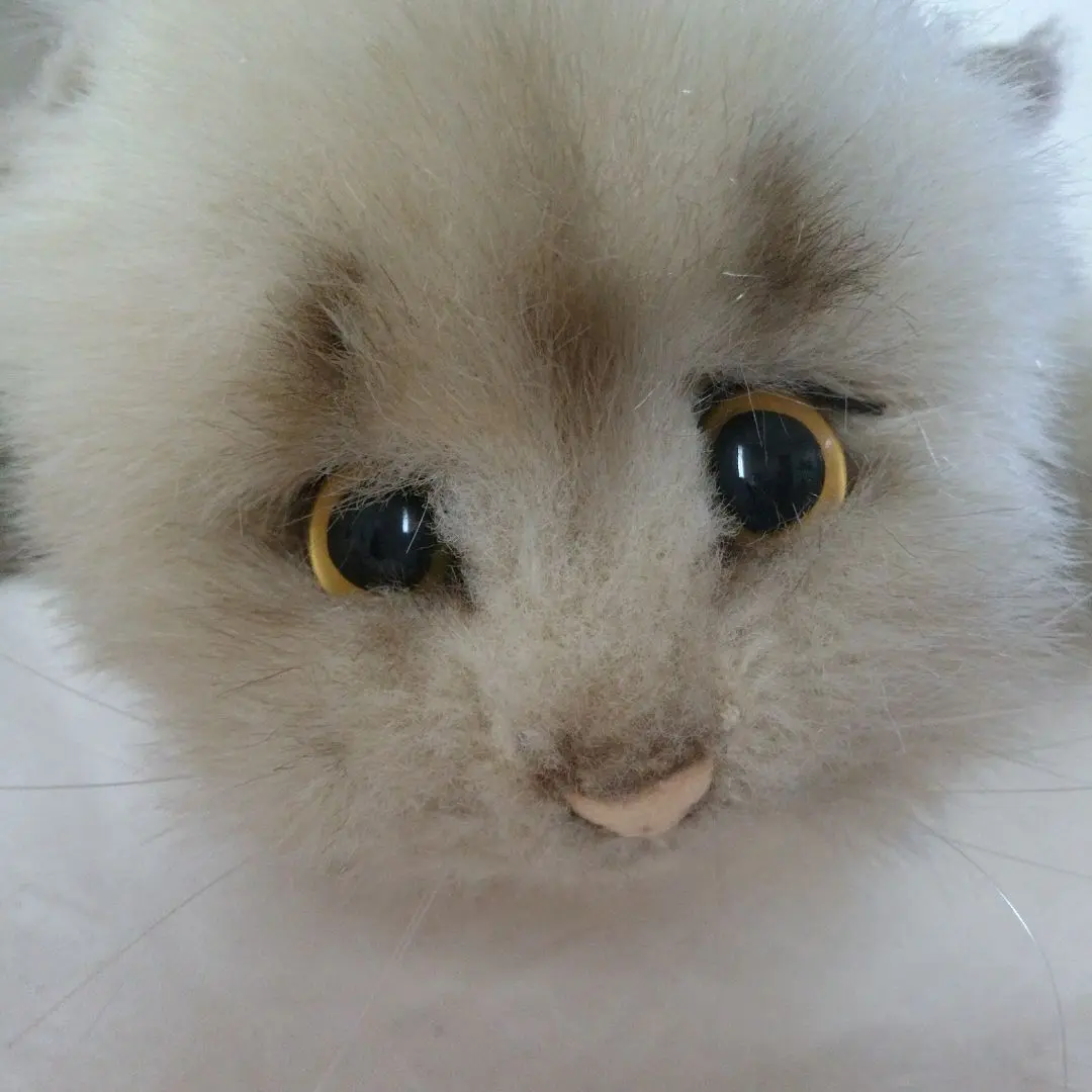 2025年最新】リーベねこぬいぐるみの人気アイテム - メルカリ