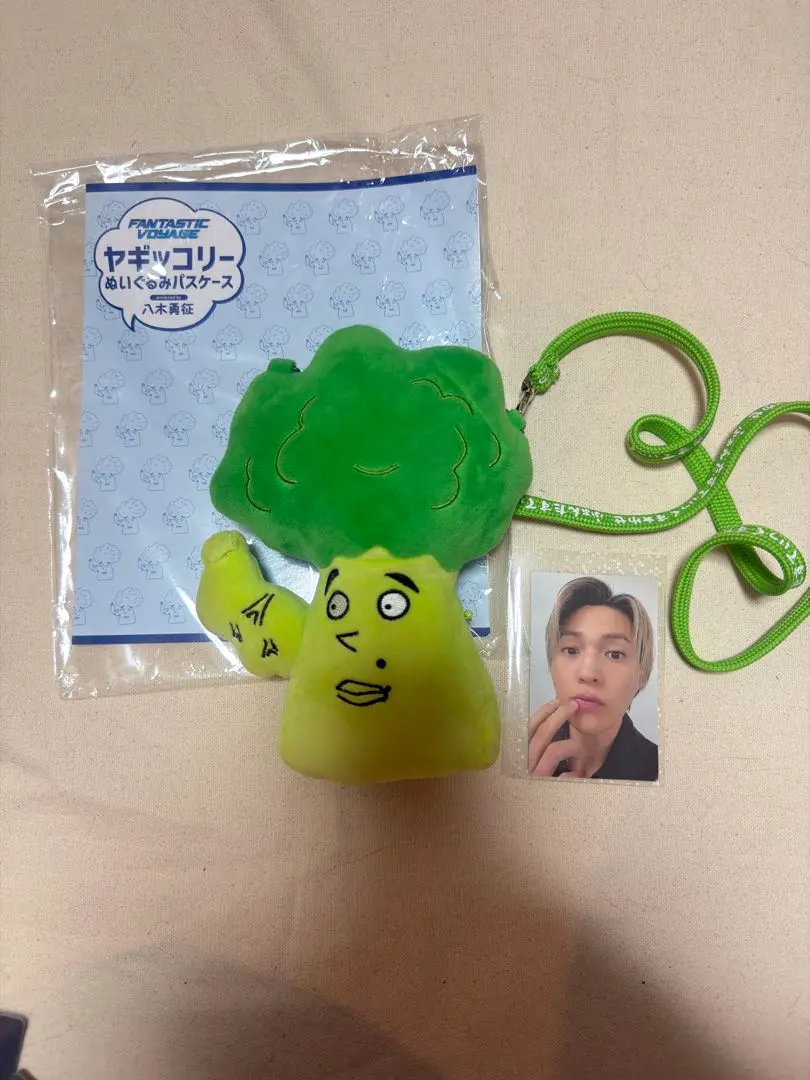 2025年最新】ヤギッコリー パスケースの人気アイテム - メルカリ