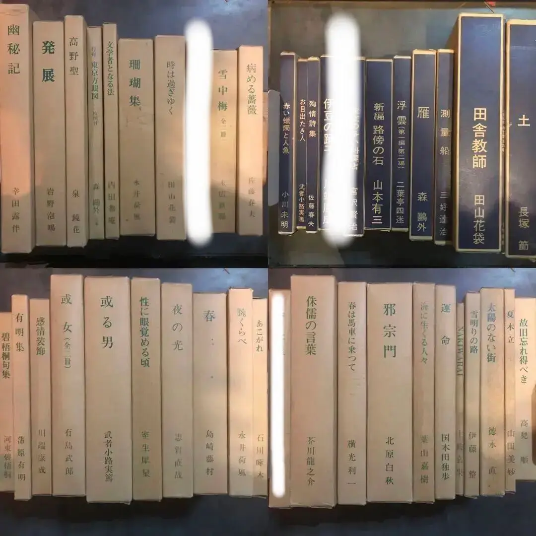 2025年最新】露伴全集 冊の人気アイテム - メルカリ