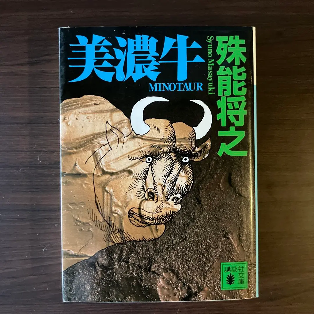 初版set 殊能将之 7冊ハサミ男/キマイラの新しい城/美濃牛/黒い仏/鏡の中は 31G9MmVbx-L._UF894,1000_QL80_.jpg