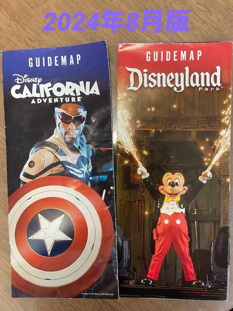 2025年最新】カリフォルニアディズニー ガイドブックの人気