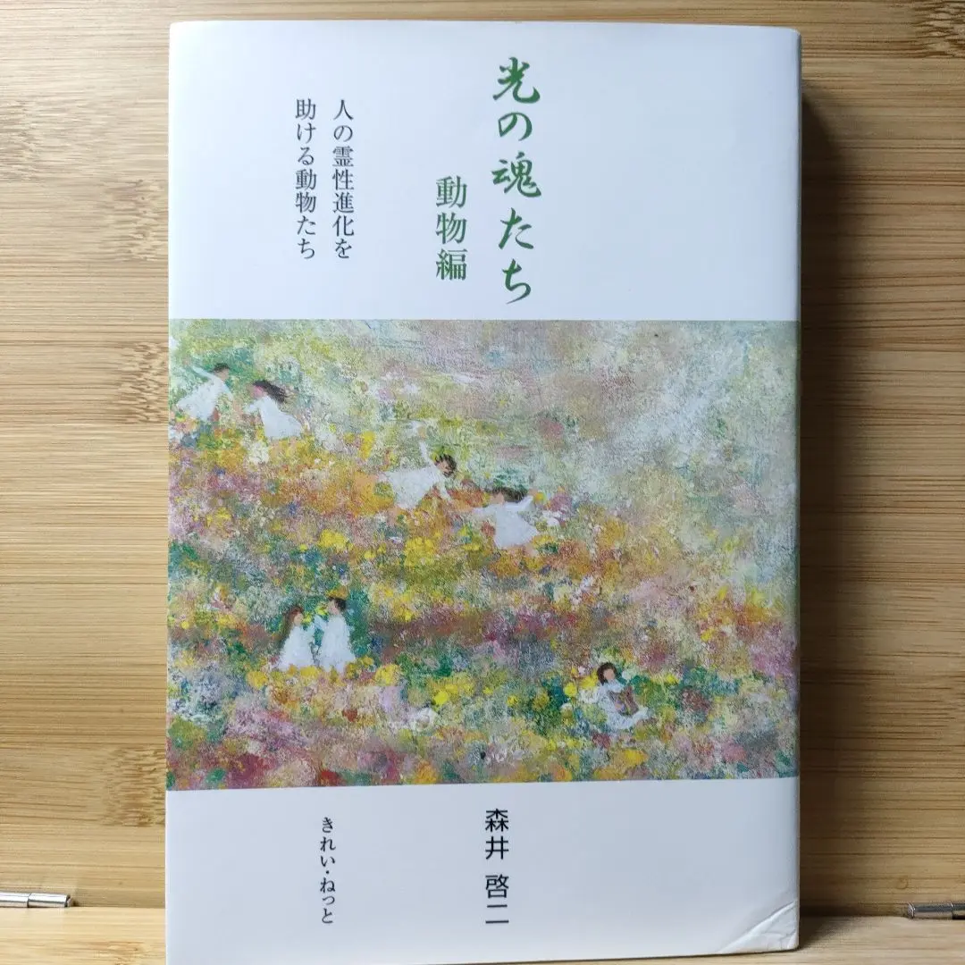 美品☆光の魂たち　動物編&山岳編　森井啓二　初版本2冊セット 2025年最新】光の魂たち_動物編の人気アイテム - メルカリ