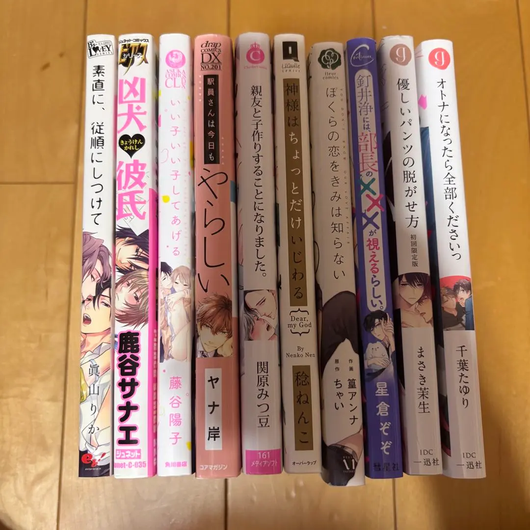 Thumbnail of BL manga, 10-volume set