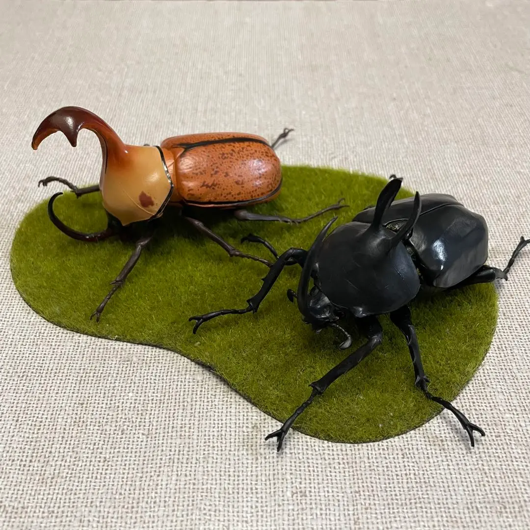 100％本物 サンボンツノ、ビルマニクス2頭セット 標本