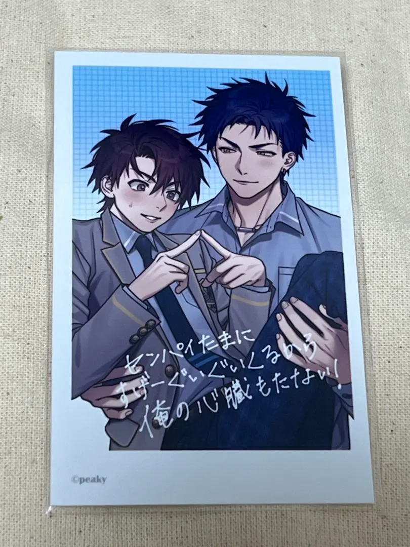 2025年最新】灰色のアルカディアの人気アイテム - メルカリ