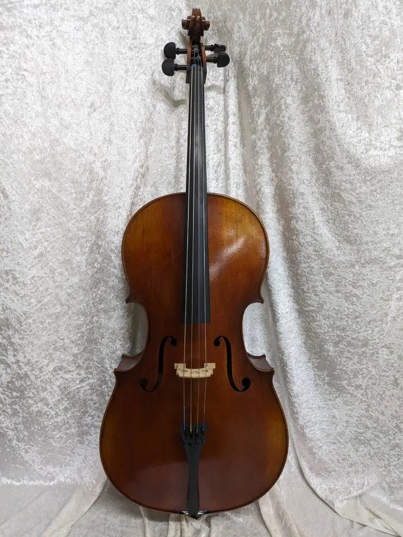 kaori ●カルロジョルダーノ● SC-160 3/4 Carlo giordano 【現物画像】SC-160 3/4 チェロセット【ミ