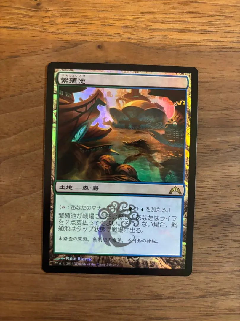 MTG 繫殖池 ギャラクシー foil ギャラクシー・Foil】(537)□ボーダーレス□《繁殖池/Breeding