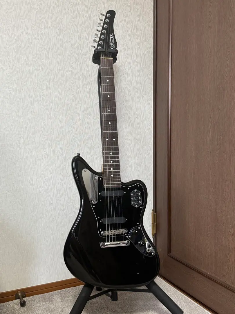 2025年最新】SCHECTER ギグバッグの人気アイテム - メルカリ
