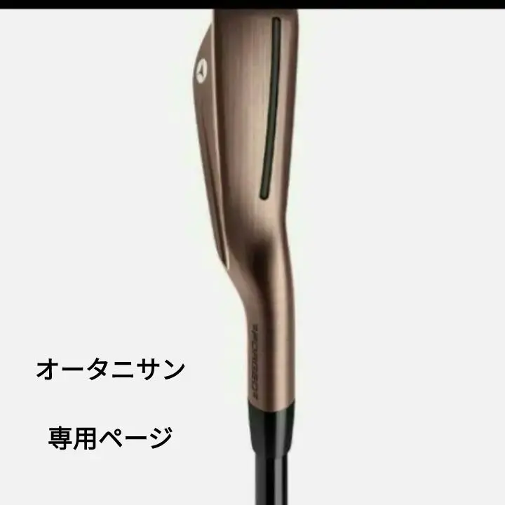 Amazon.co.jp: テーラーメイド日本国内正規品_23モデルP790_