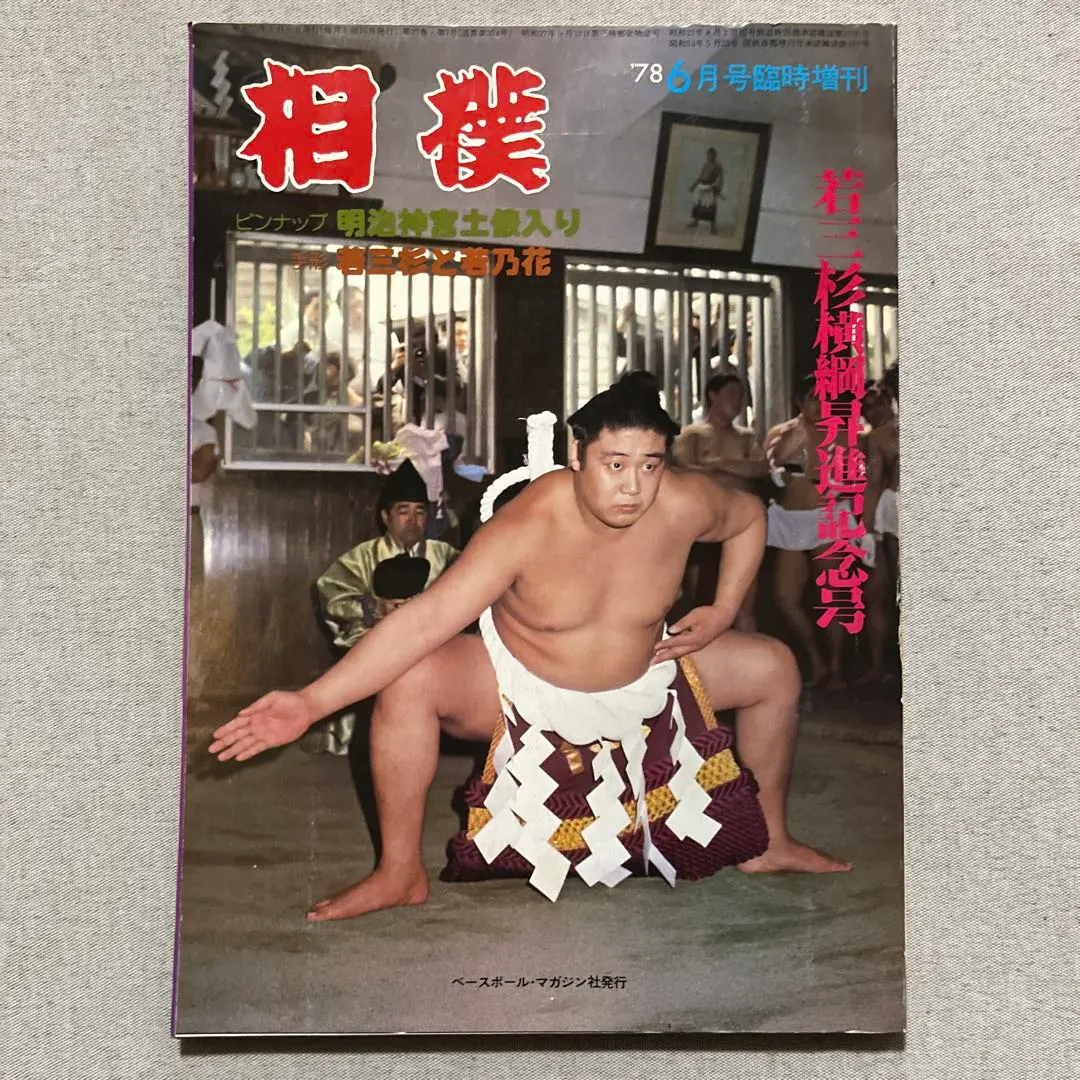 2025年最新】横綱二代目若乃花の人気アイテム - メルカリ