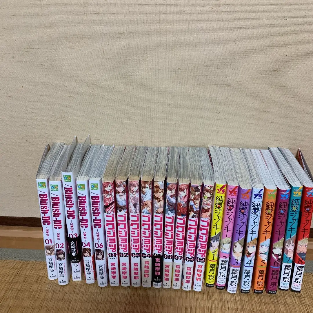 【中古】純愛ジャンキー コミック 1-14巻セット／葉月 京／秋田書店 純愛ジャンキー 1 (ヤングチャンピオン・コミックス) | 葉月京