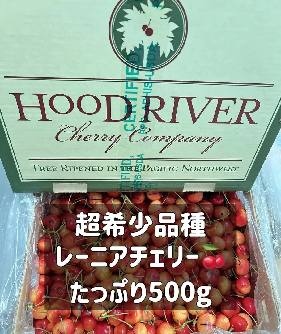 チェリー8.5×レーニアチェリー レーニアチェリー（9rowサイズ） 【業務用食材の仕入れなら
