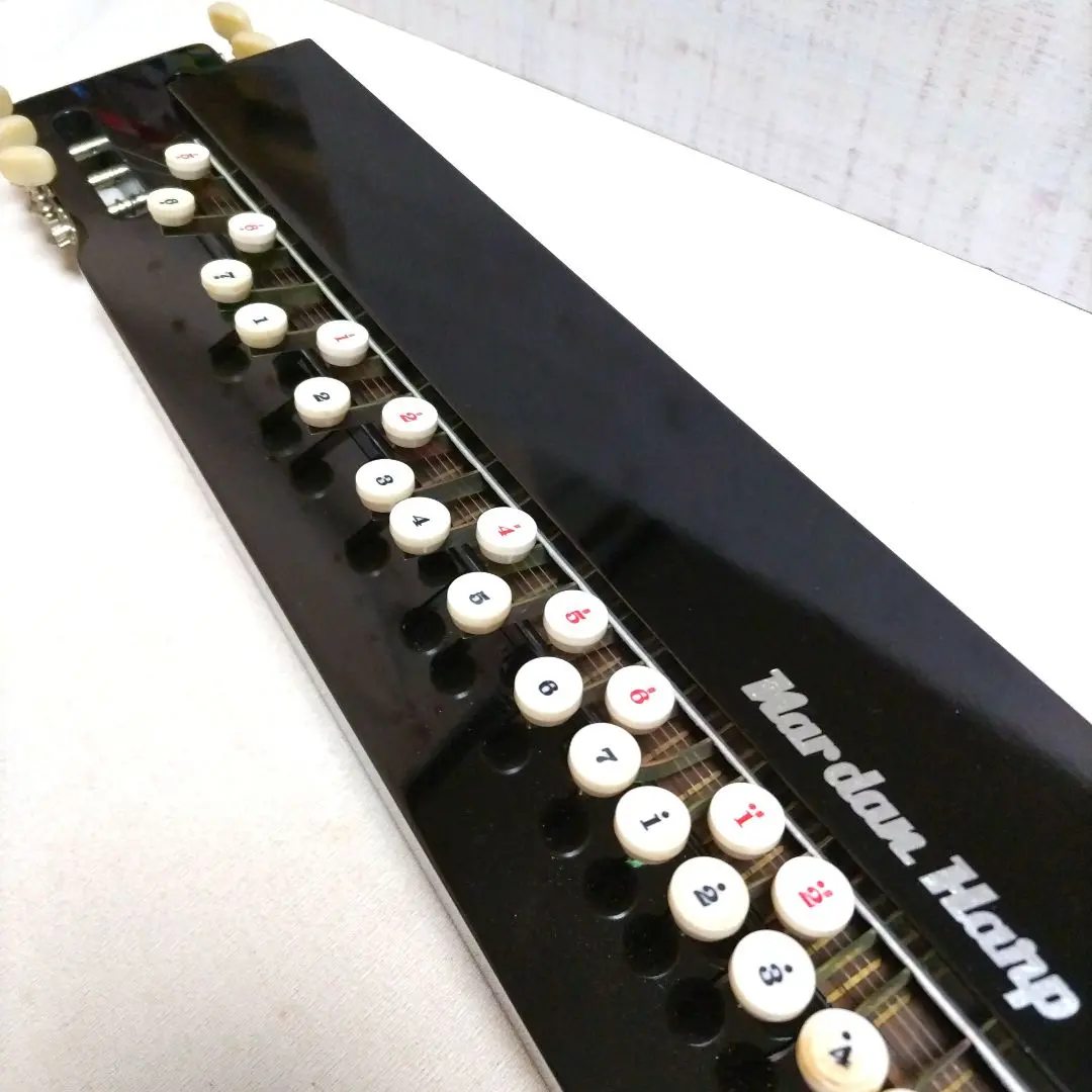 大正琴関連商品 ＞ 大正琴ケース ＞ ナルダン大正琴専用ハード