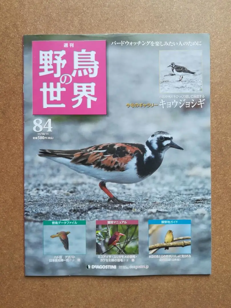 週刊　野鳥の世界　全121号セット【専用バインダー付き】 2025年最新】週刊 野鳥の世界の人気アイテム - メルカリ