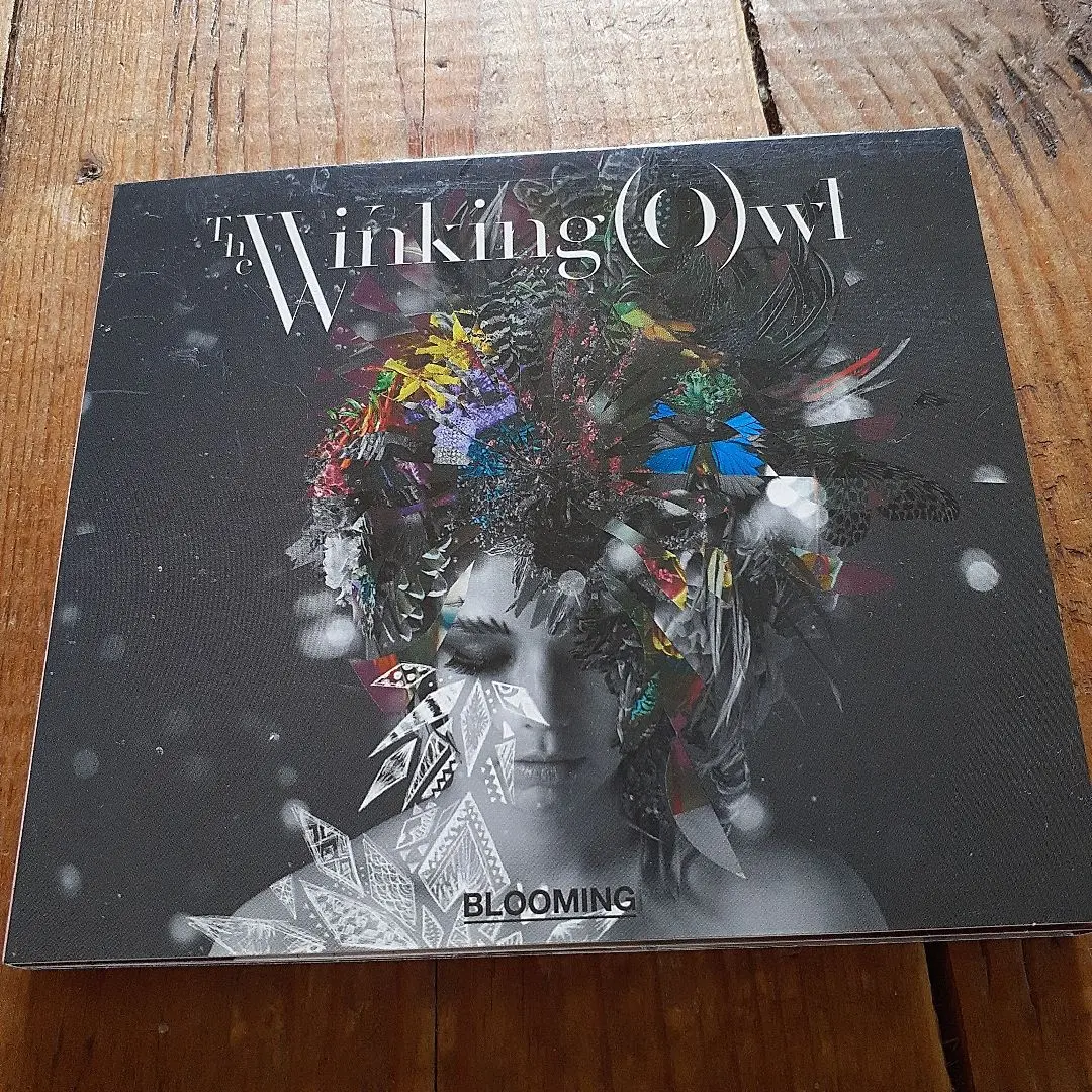 2025年最新】The Winking Owlの人気アイテム - メルカリ