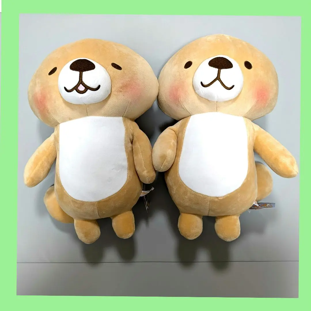 【タグ付き】突撃！ ラッコさん ぬいぐるみ セット 非売品】【ROUND1限定】【未使用品】突撃 ラッコさん もちもち
