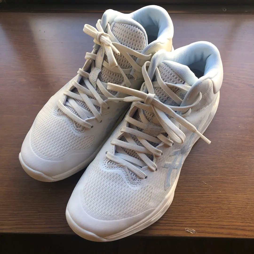 バスケットボールシューズ　アシックス　ライトノヴァ　27cm ASICS[アシックス] LYTE NOVA / ライト ノヴァ（1061A002）